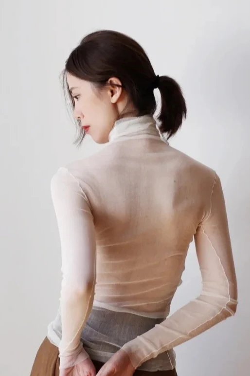 Silk Tulle Sheer Lace Turtleneck Base Layer - Image 5